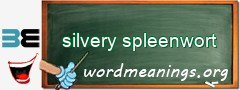 WordMeaning blackboard for silvery spleenwort